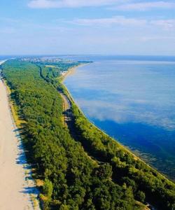 Куршская коса