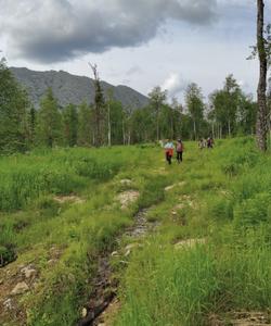 Восхождение на гору Шудья-Пендыш