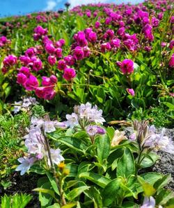 Тур на Камчатку