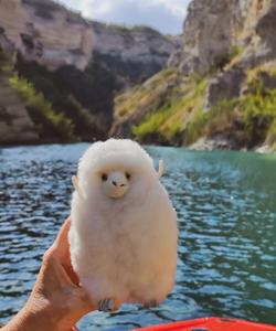 Сулакский каньон