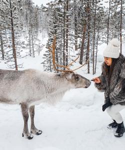 тур в этнодеревню саамов