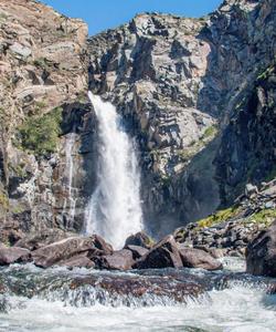 Местный пейзаж