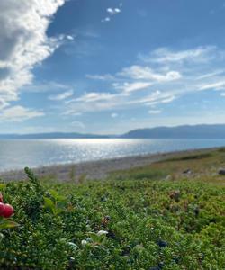 Природа Кольского полуострова