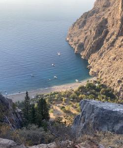 Местный пейзаж