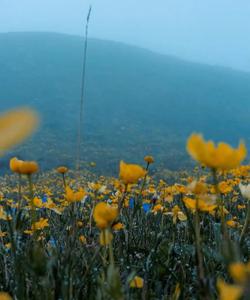 Горные пейзажи 