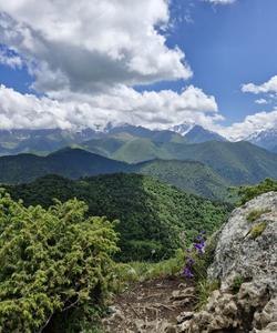 Тур в Ингушетию