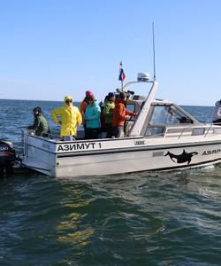 Морская прогулка на Камчатке