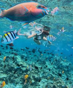 Снорклинг на Занзибаре