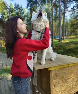 Хаски-парк, Мурманск