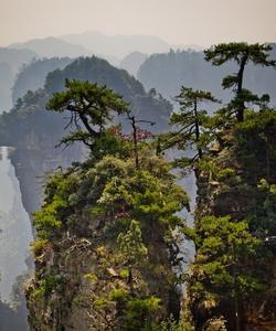 Чжанцзяцзе