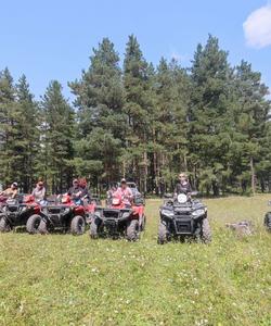 Местный пейзаж