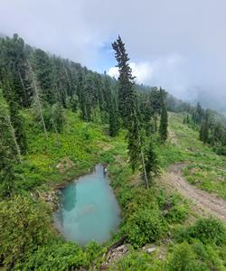 Канатная дорога на Телецком