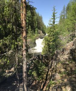 Водопад Кивач