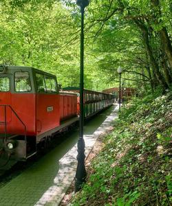 Гуамское ущелье катание на тепловозе