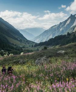 Тебердинский заповедник