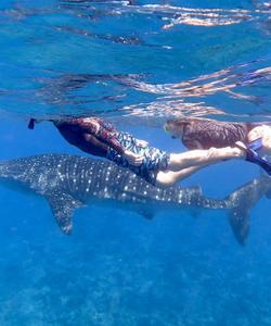 Снорклинг на Мальдивах