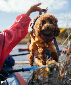Байдарочный поход по Ладожским шхерам