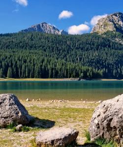 Скадарское озеро