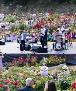 фестиваль в Крыму