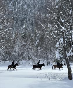 Конная прогулка в Архызе
