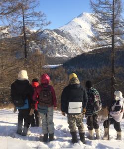 Снежный пейзаж