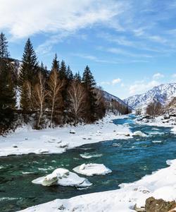 река Катунь