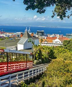 Веллингтон