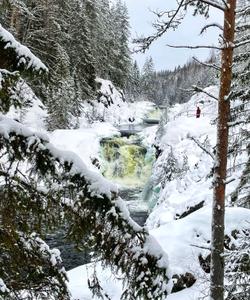 Зимний пейзаж