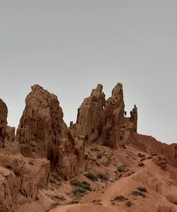 Местные пейзажи