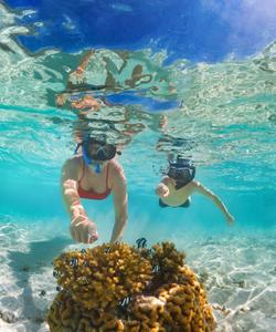 Подводный мир