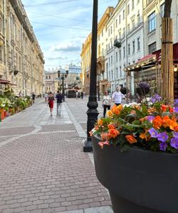 Малая Садовая улица в Санкт-Петербурге