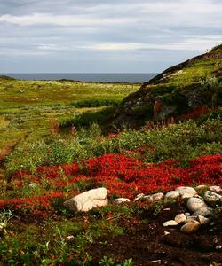 Полуостров Немецкий
