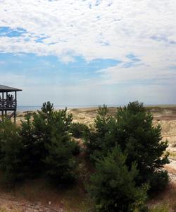 Куршская коса