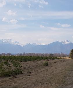 Тункинская долина в Бурятии