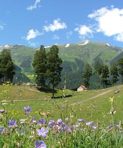 Тур в Архыз