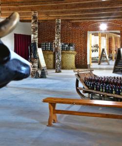 тур по Золотому кольцу