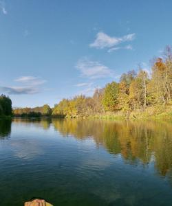 Сплав в Марий Эл