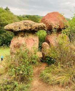 Группа скал «Красные грибы»