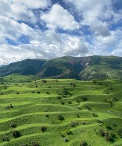 Местные пейзажи