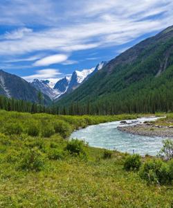 Местные пейзажи 