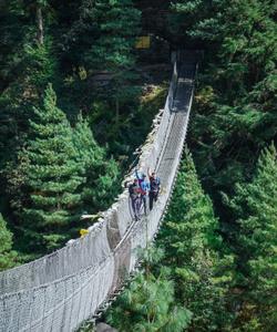 гималайские леса