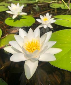 Сплав по реке