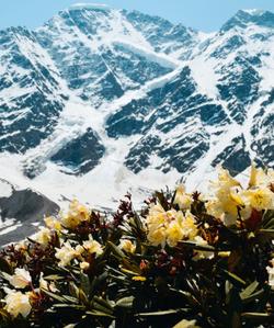 Гора Эльбрус