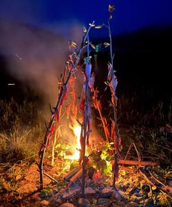 Походный лагерь, сибирская тайга