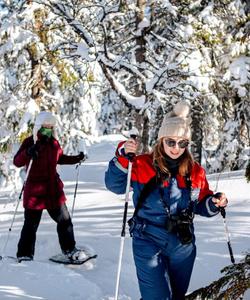 Экскурсия на снегоступах в Карелии