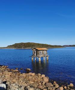 Дальние Зеленцы