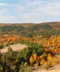 Тур в Хвалынск