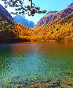 Местный пейзаж