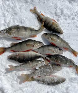 Рыболовный тур в Иркутской области