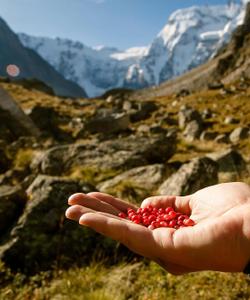 Кабардино-Балкария